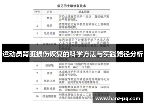 运动员肾脏损伤恢复的科学方法与实践路径分析 运动员肾脏损伤恢复的科学方法与实践路径分析