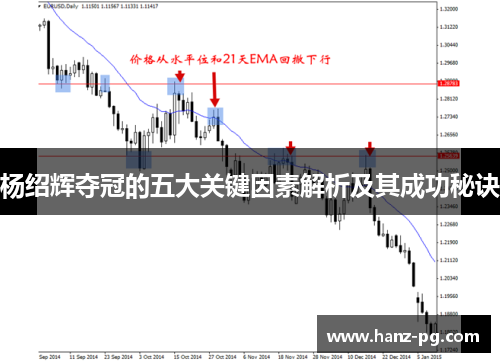 杨绍辉夺冠的五大关键因素解析及其成功秘诀